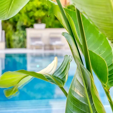 Szálloda Florida Sorrento